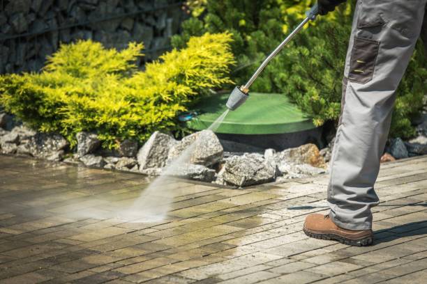 Best Sidewalk and Walkway Cleaning  in Burleson, TX